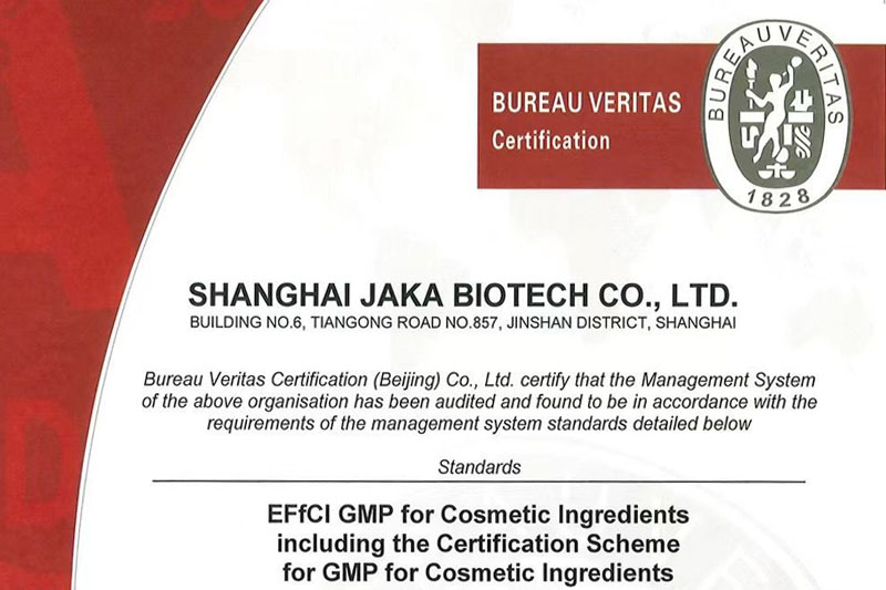 EFfCI GMP CERTIFICATION