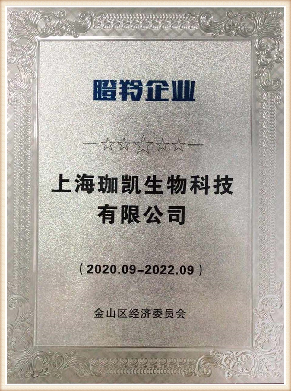 certificate (7)